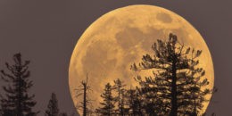 Three Ways to Harness the Energy of the Supermoon