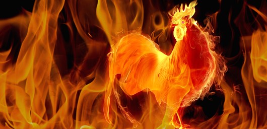 Year of the fire rooster