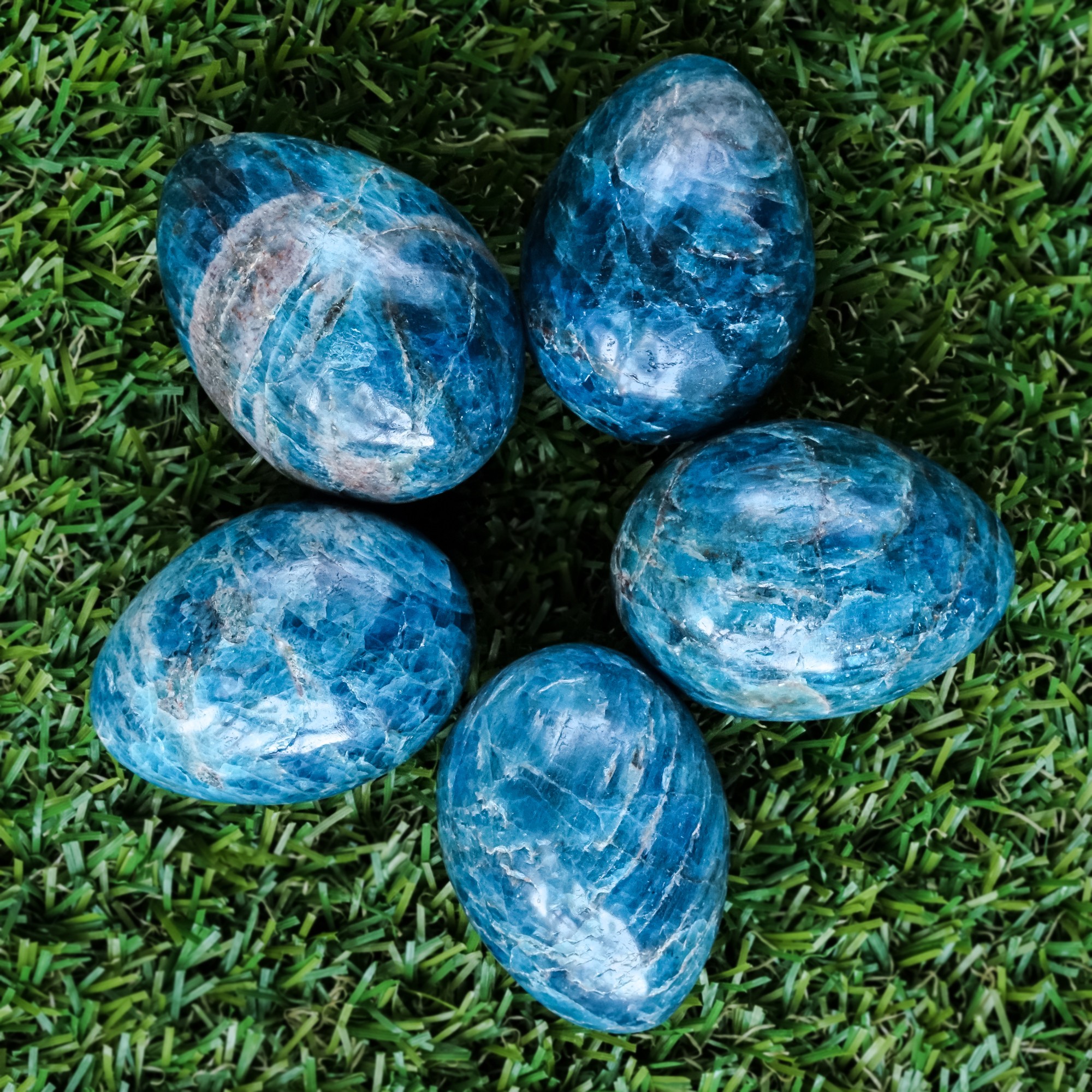 Blue apatite eggs