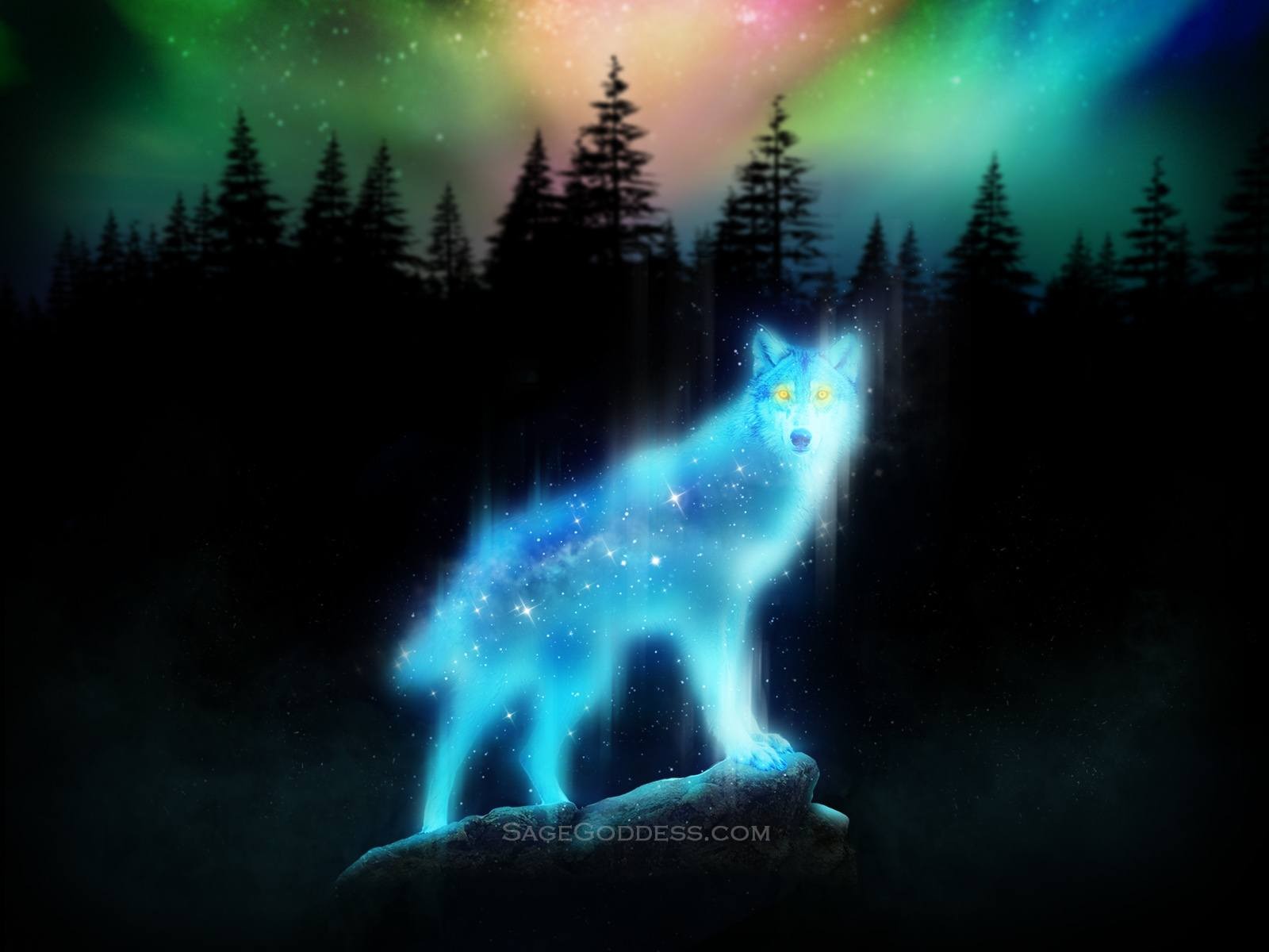 Shadows of the wolf spirit dark Spirits wolves HD wallpaper | animals |  Wallpaper Better