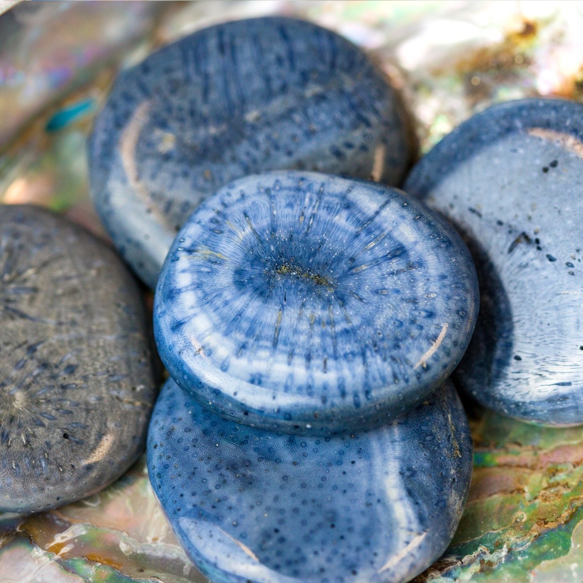 Blue_Coral_Palm_Stone_1of3_8_10