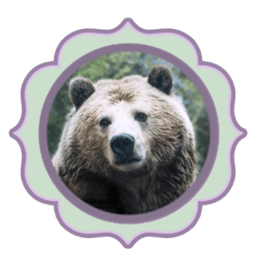 bear