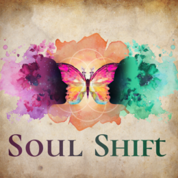 Soul Shift Tools