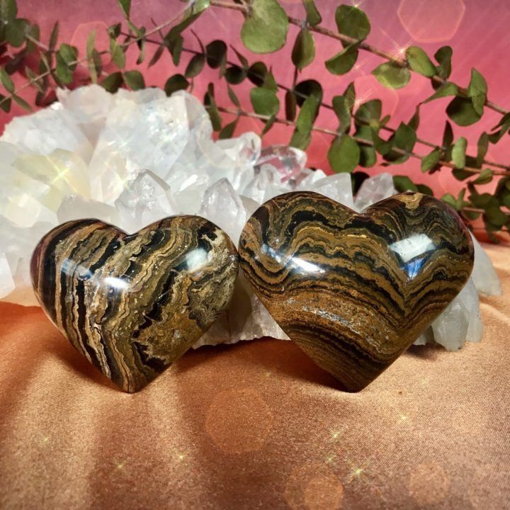 Trauma_Release_Stromatolite_Hearts_2of3_3_24