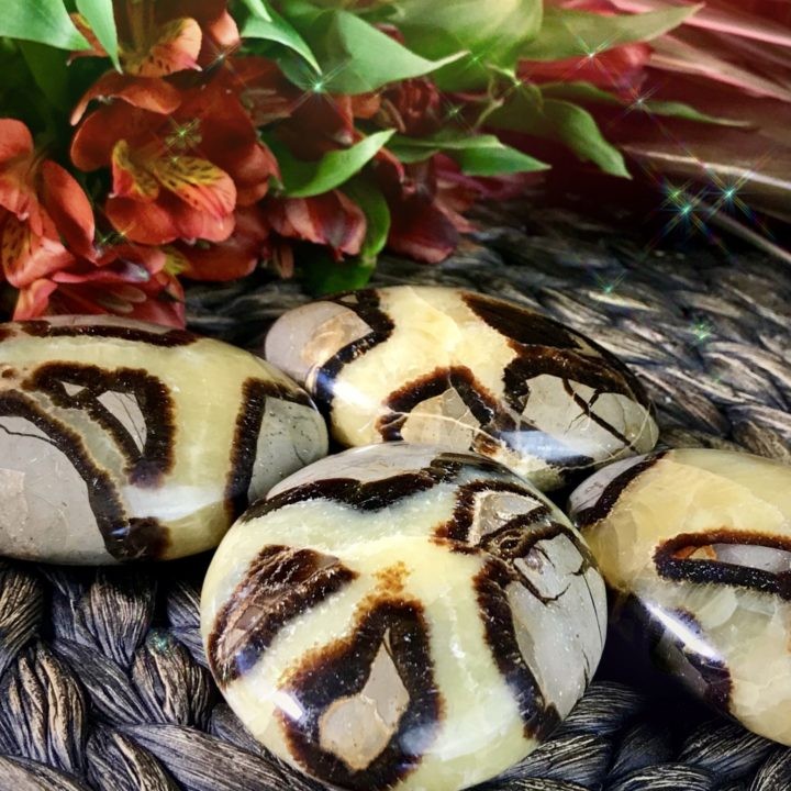 Ancient_Wisdom_Septarian_Palm_Stones_1of4_6_1