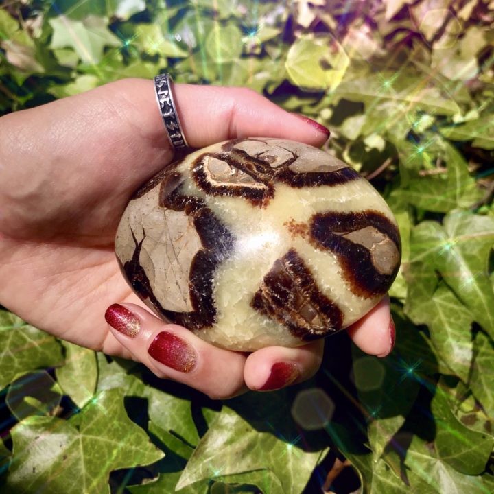 Ancient_Wisdom_Septarian_Palm_Stones_3of4_6_1