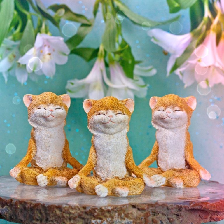 Yoga Cats for stress relief, balance, and moving with ease in the dark