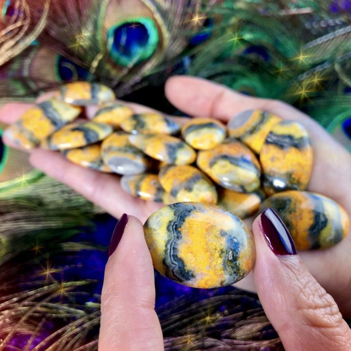 Bumble_Bee_Jasper_Cabochons_Wholesale_2of3