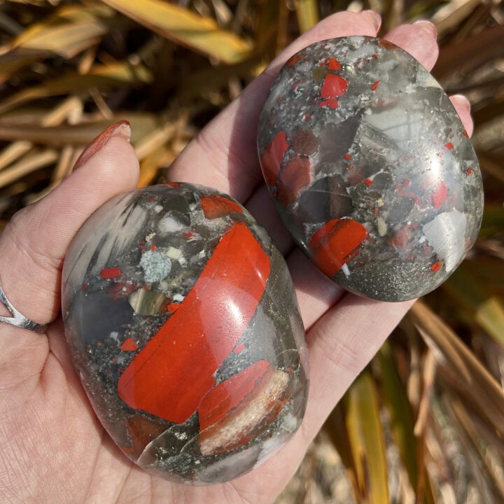 Heal and Relieve African Bloodstone Palm Stone