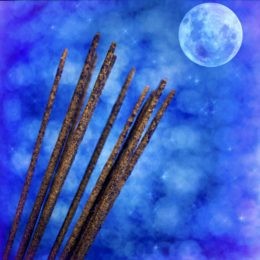 Moongazer Incense
