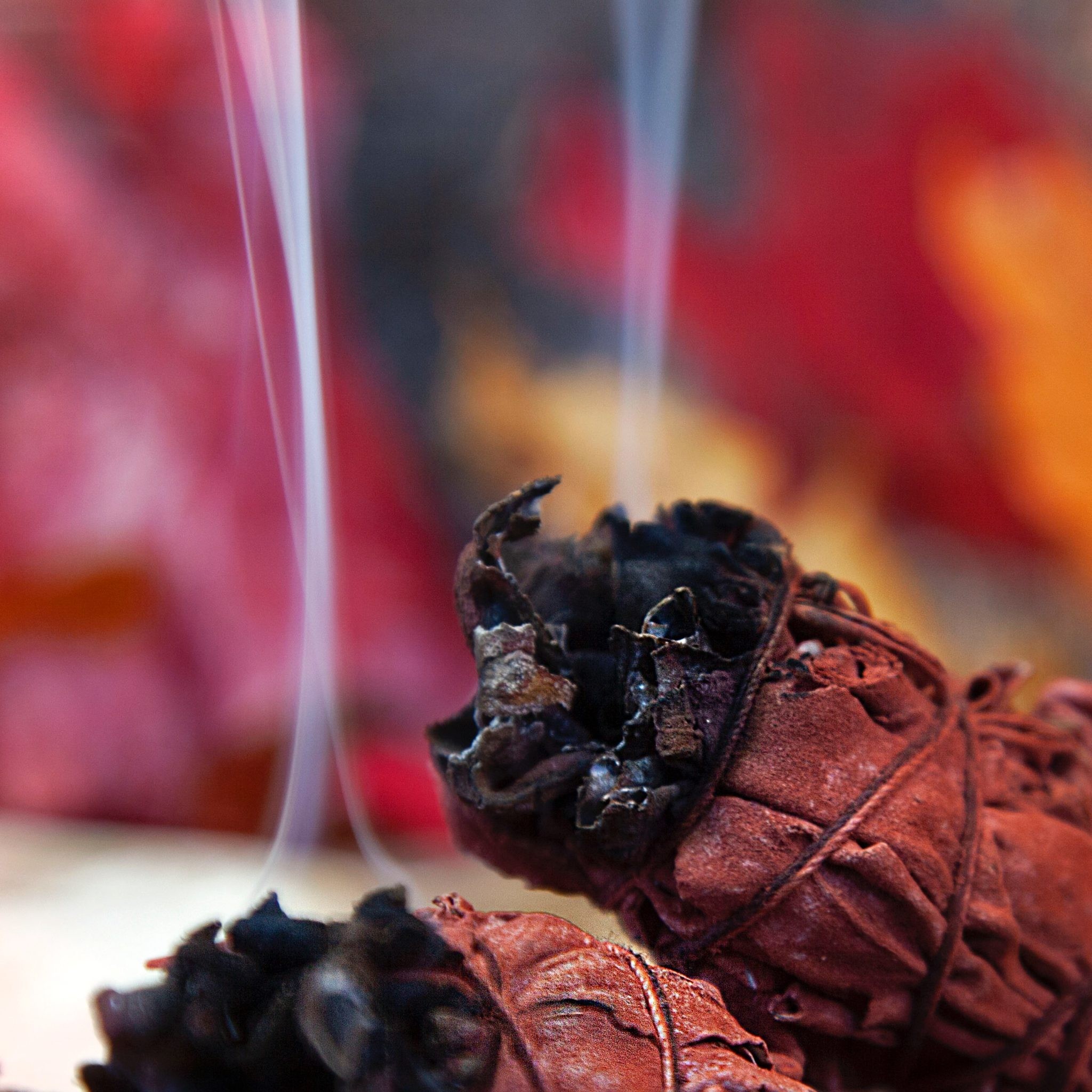 Dragon’s Blood Smudge Bundles for deflecting negativity