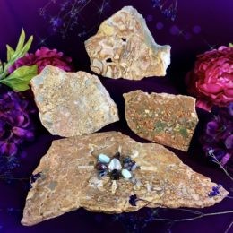 Ascended Masters Ibis Jasper Soul Star Charging Plates with Crystal Grid