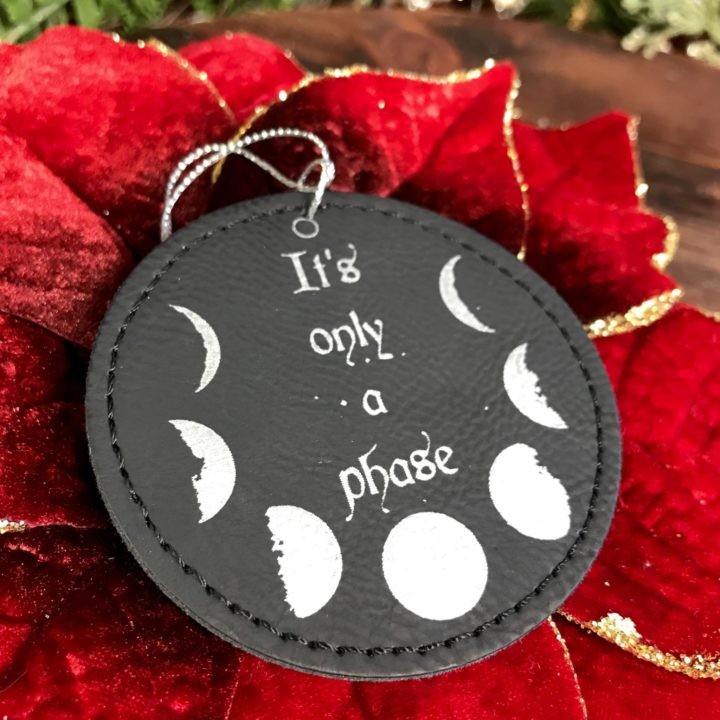 It's Just a Phase Lunar Holiday Ornaments 3of3_11_28