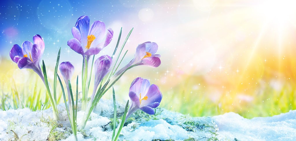 Imbolc Prepares Us for the Magic of Spring