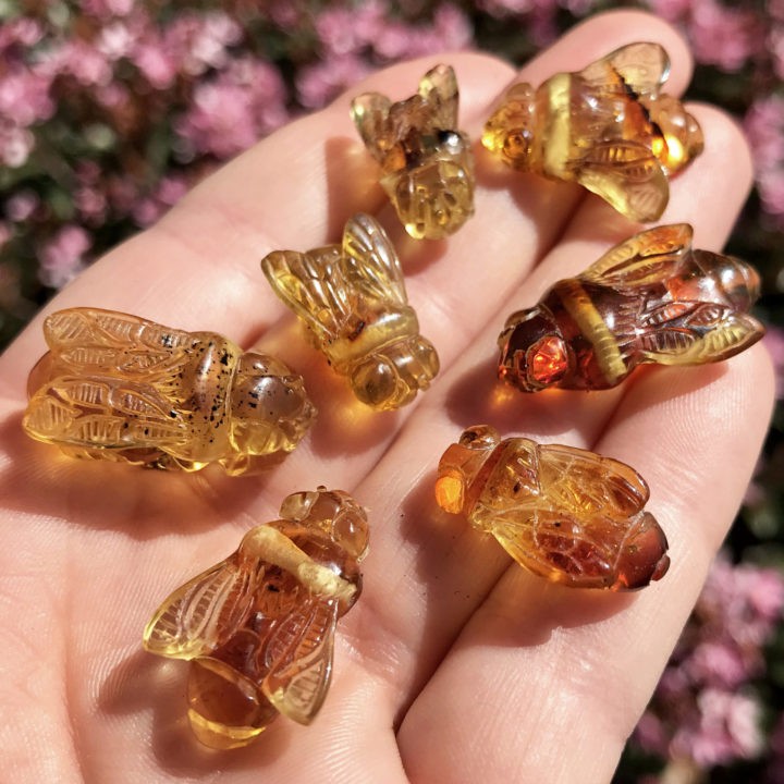 Amber Bees
