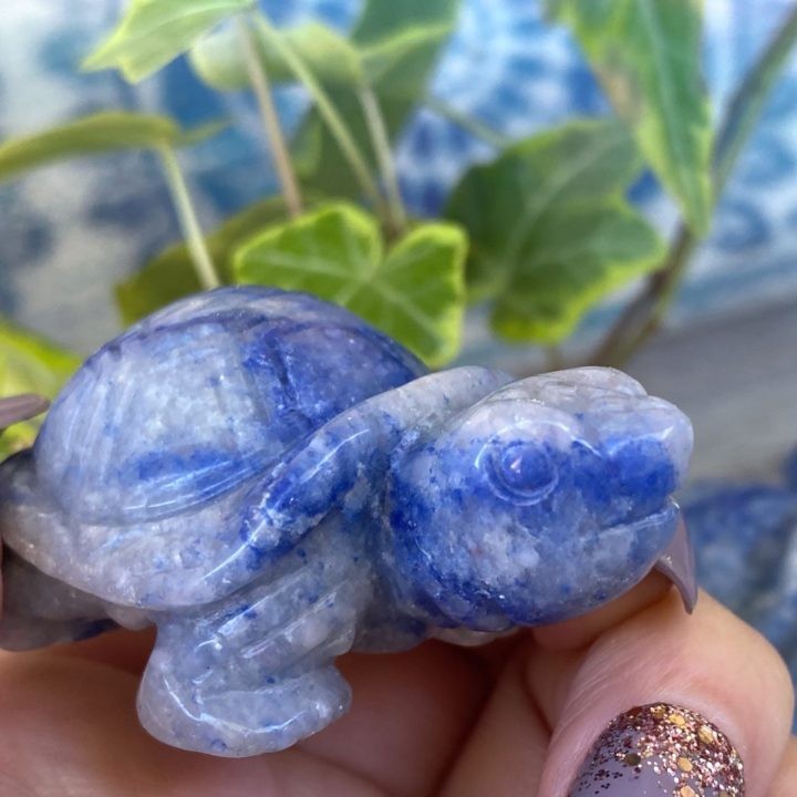 Dumortierite Peace and Guidance Turtles