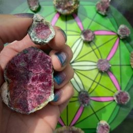 Natural Ruby Fuchsite Flowers
