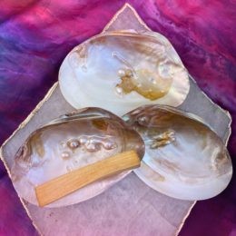 Pearl Shells with Rose and Oud Infused Palo Santo