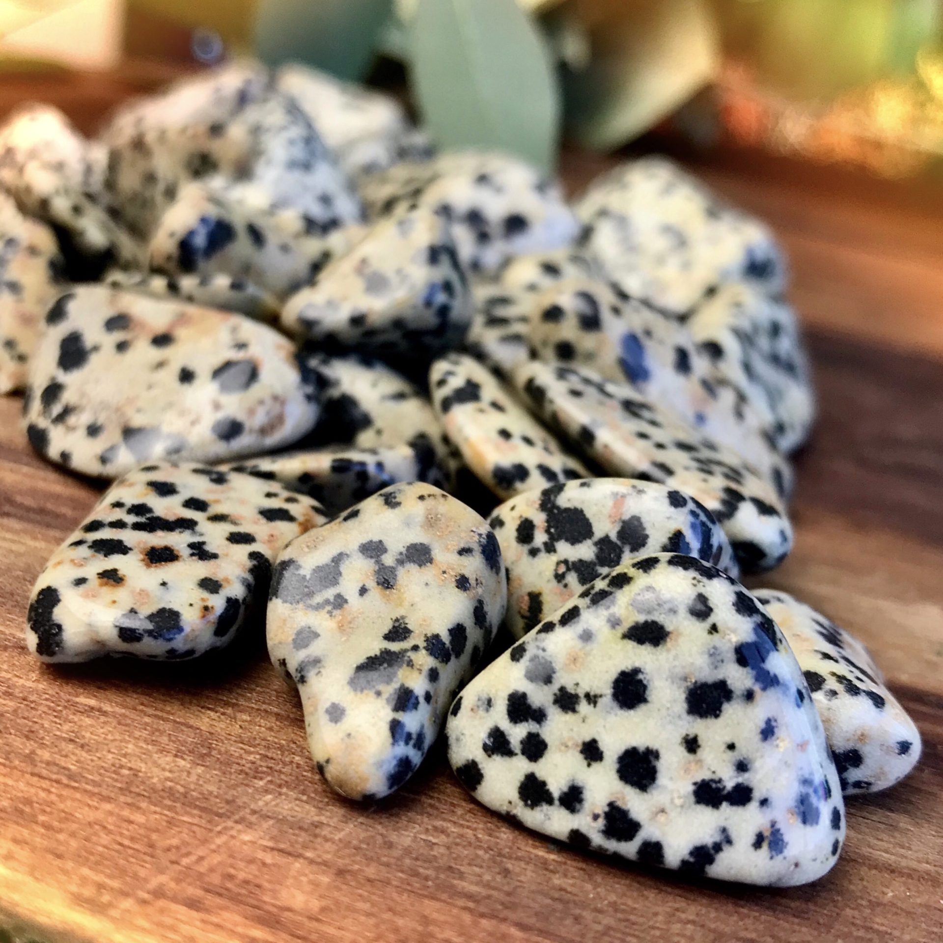 yellow dalmatian jasper meaning yellow dalmatian jasper meaning