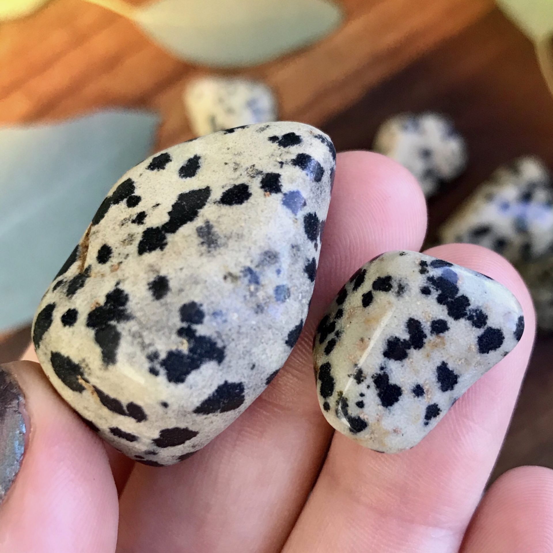 Tumbled Dalmatian Jasper for awareness and spirit animal connection