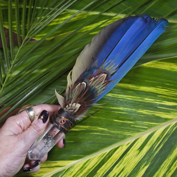 Macaw Feather Smudge Fans