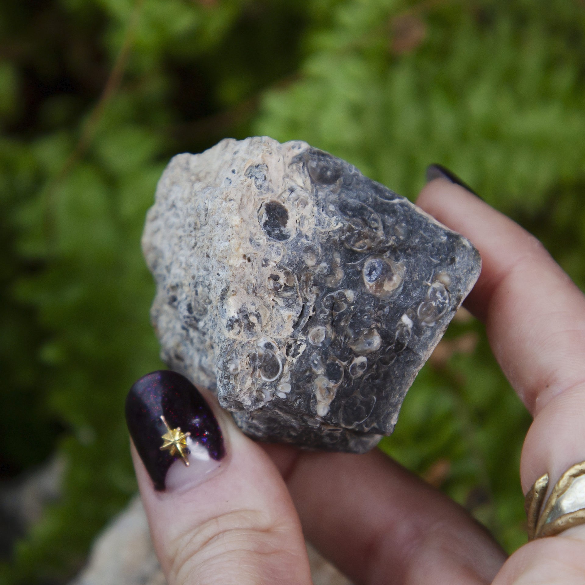 Natural Turritella Agate for ancient wisdom and ancestral connection