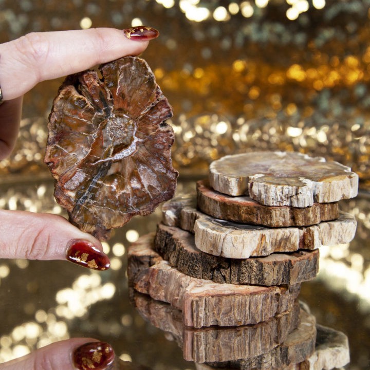 Mini Petrified Wood Altar Plates