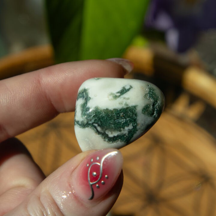 Tumbled Tree Agate