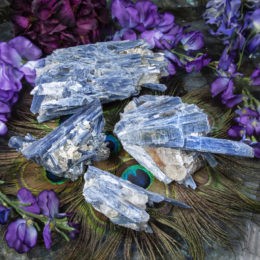 Blue Kyanite in Quartz Cluster