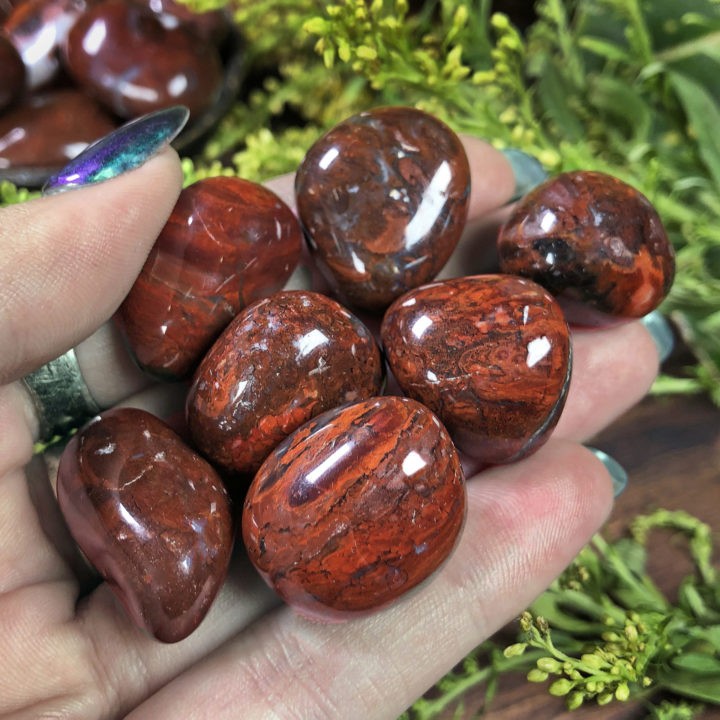 Small Tumbled Red Petrified Wood