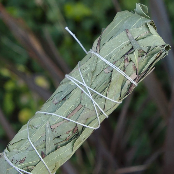 Eucalyptus Smudge Bundle