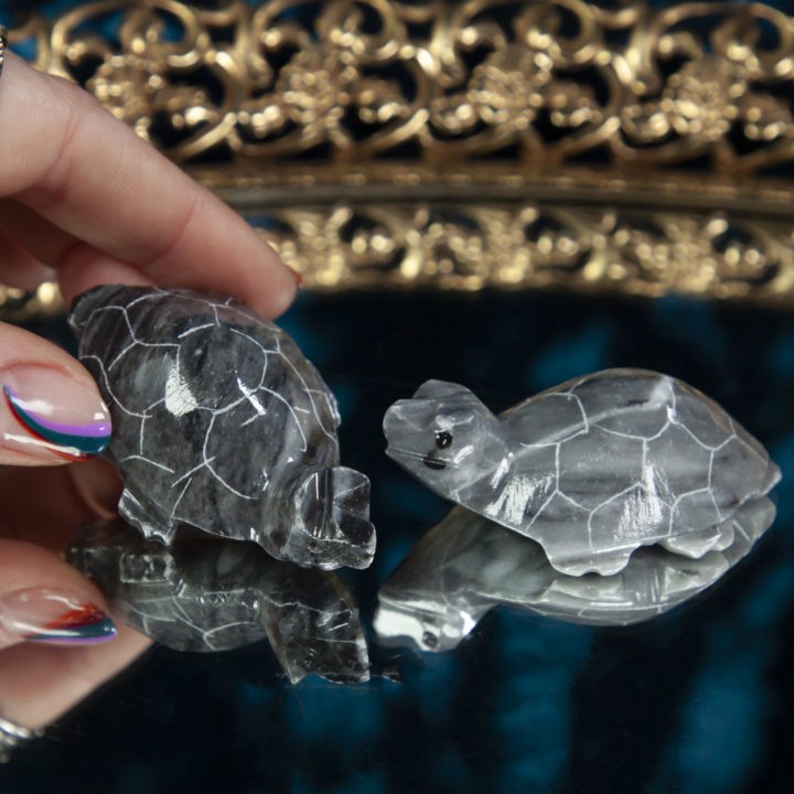 Grey Onyx Turtle