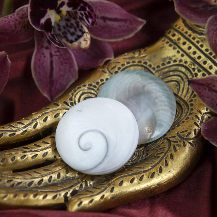 Gomati Protection and Prosperity Shell