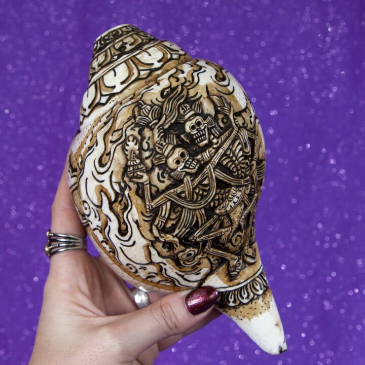 Hand Carved Conch Shell Citipati