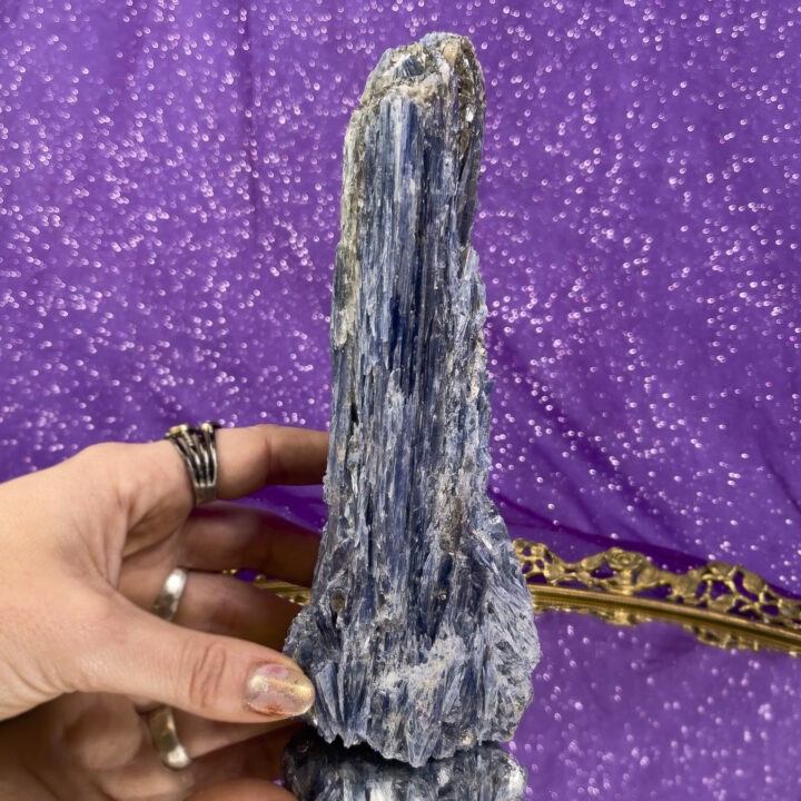 Blue Kyanite With Black Tourmaline Spear