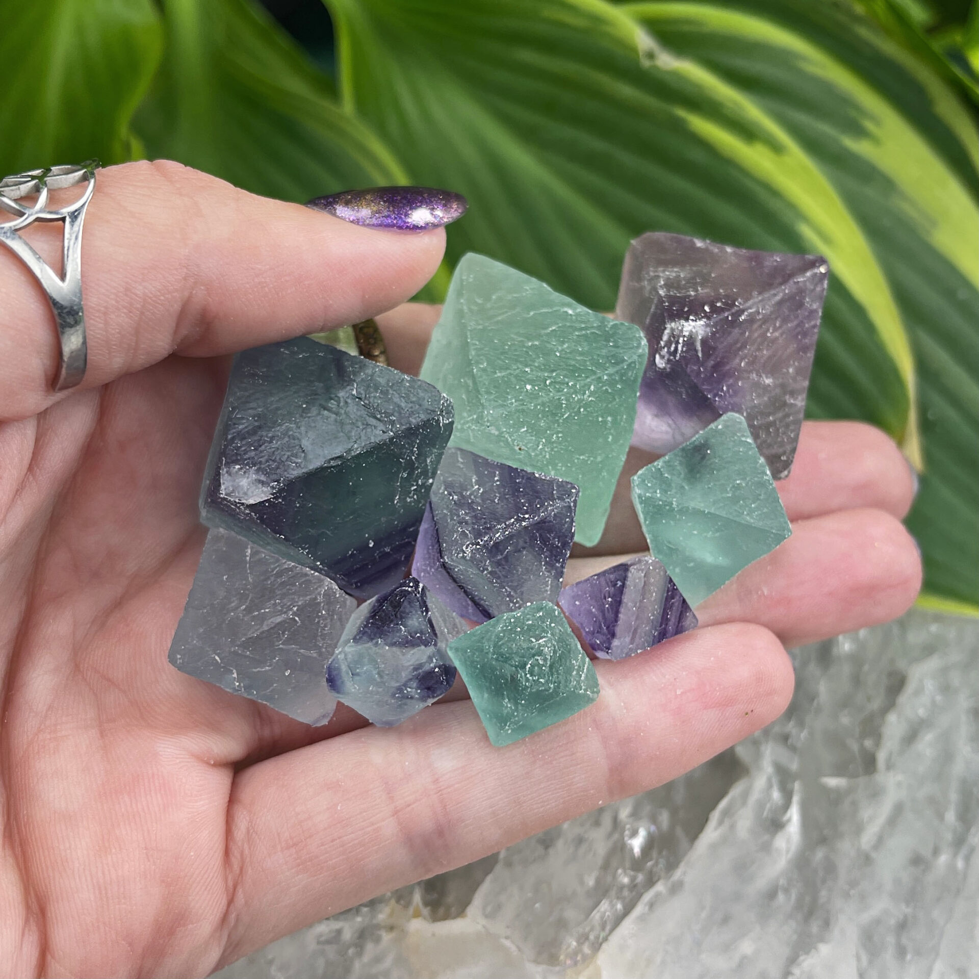 Lot Natural Clear Blue-Green Fluorite Crystal Point Octahedron Rough Specimens 