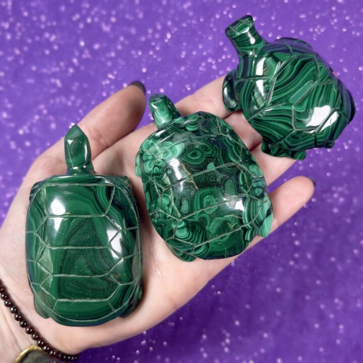 Malachite Turtle