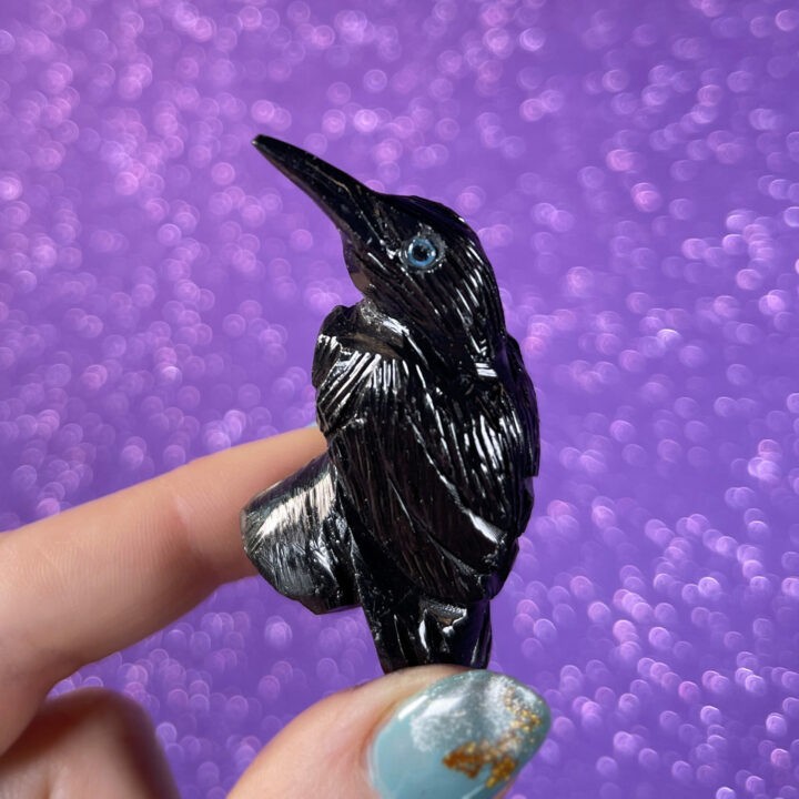 Obsidian Crow