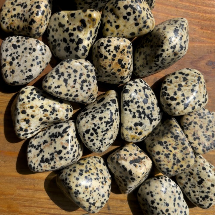 Tumbled Dalmatian Jasper