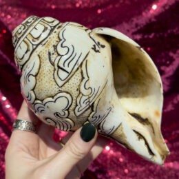 Carved Buddha Conch Shell