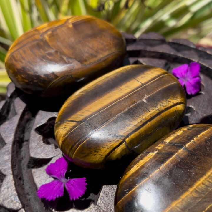 Tigers Eye Palm Stone