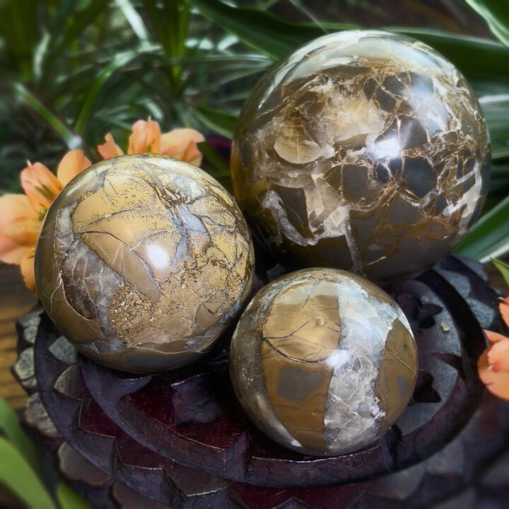 Atlantean Wisdom Indonesian Septarian Sphere