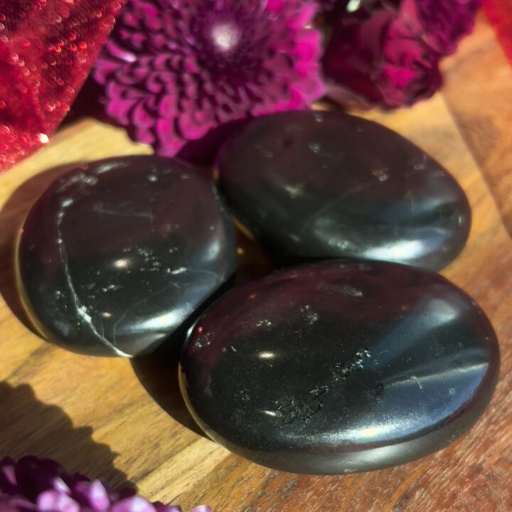 Black Tourmaline Protective Palm Stone