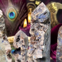 Ancient Priestess Azurite and Chrysocolla in Petrified Wood Obelisk