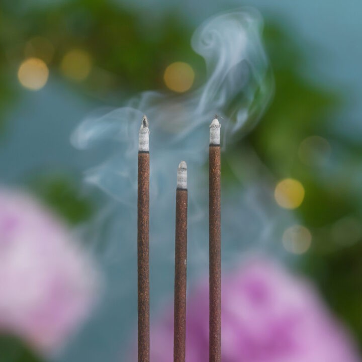 Enchanted Forest Incense Sticks