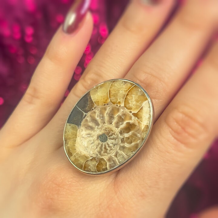 Ammonite Adjustable Ring