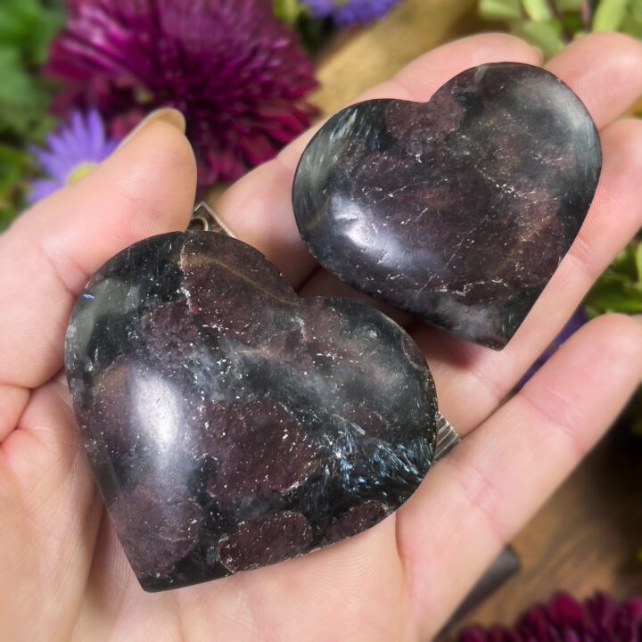 Garnet in Arfvedsonite Grounded Manifestation Heart