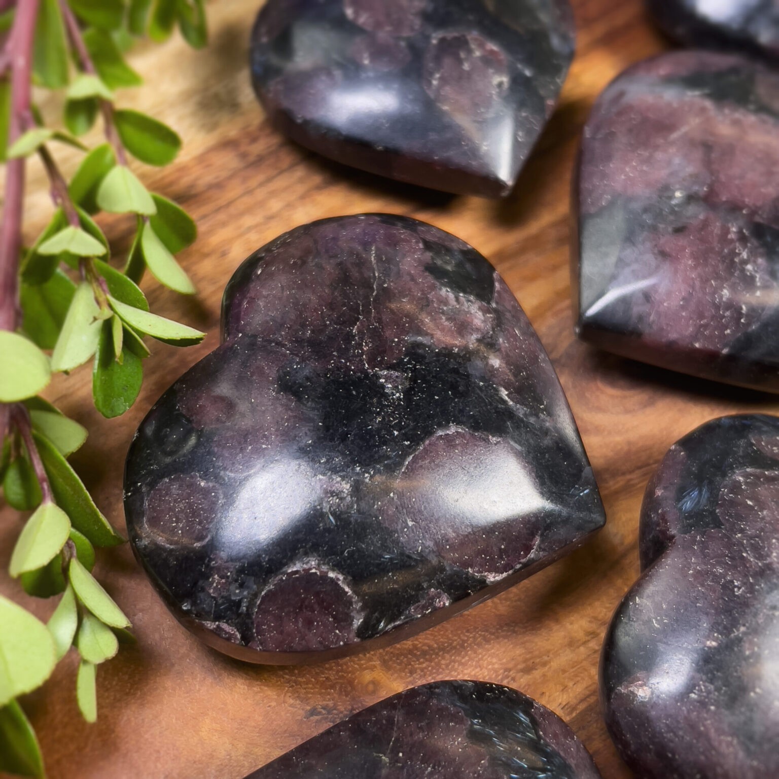 Sage Goddess in Arfvedsonite Grounded Manifestation Heart