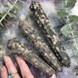 Scapolite in Hornblende Health and Success Vogel