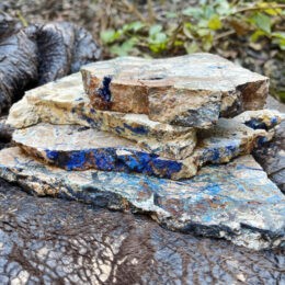 Ancient Priestess Azurite, Chrysocolla, and Malachite in Petrified Wood Charging Plate